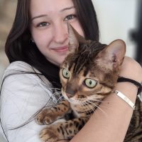 phto catsitting